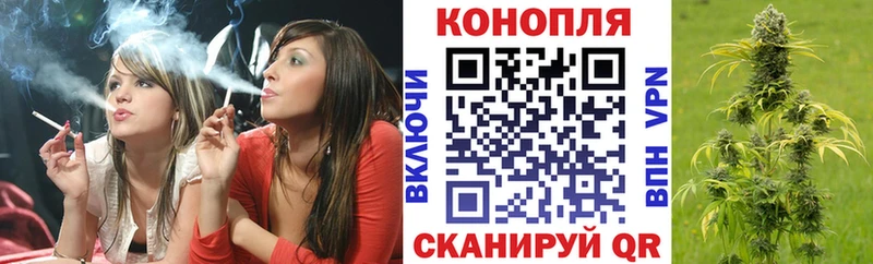 Бошки Шишки сатива Сусуман